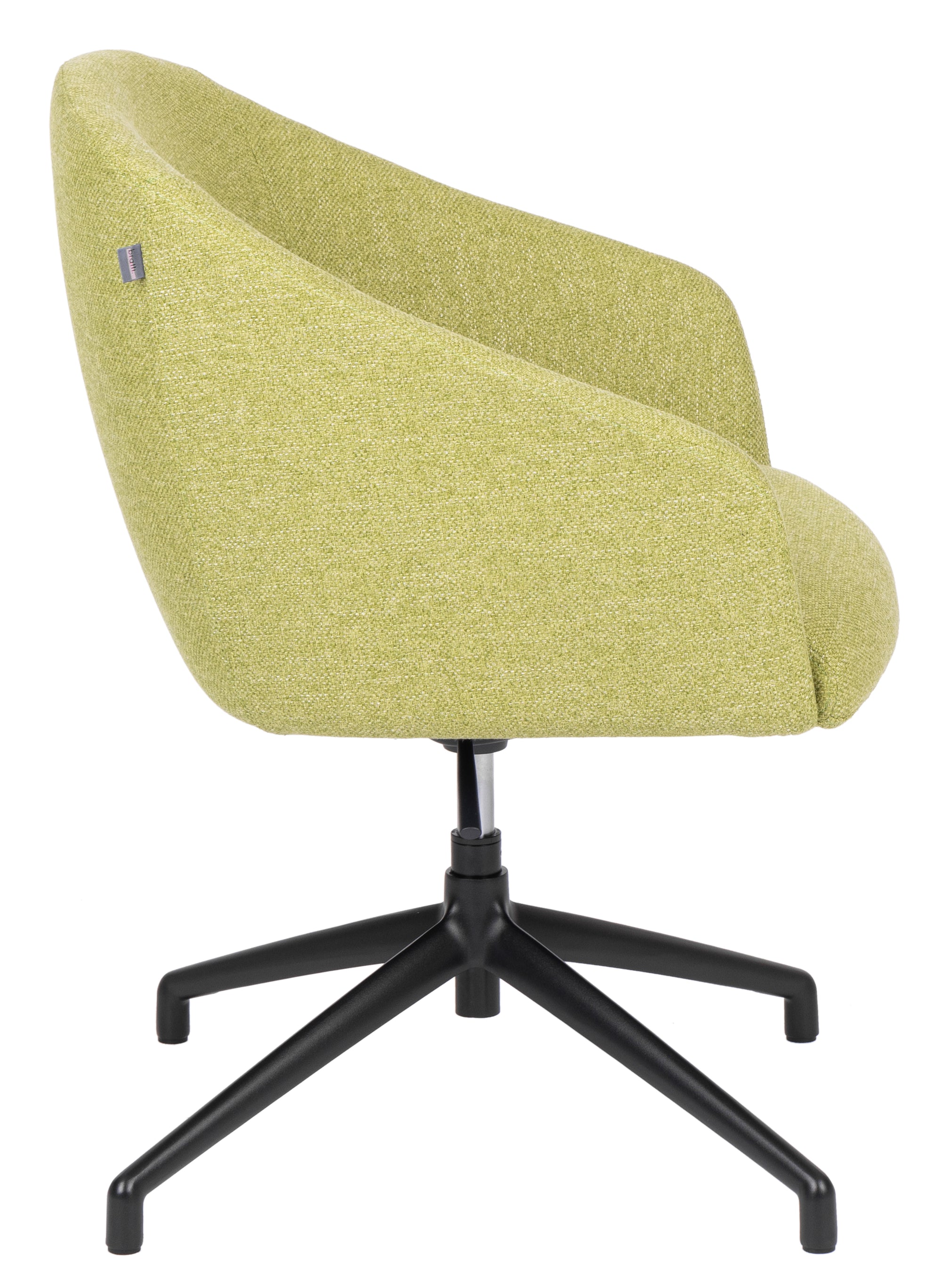Silla Edge Spider