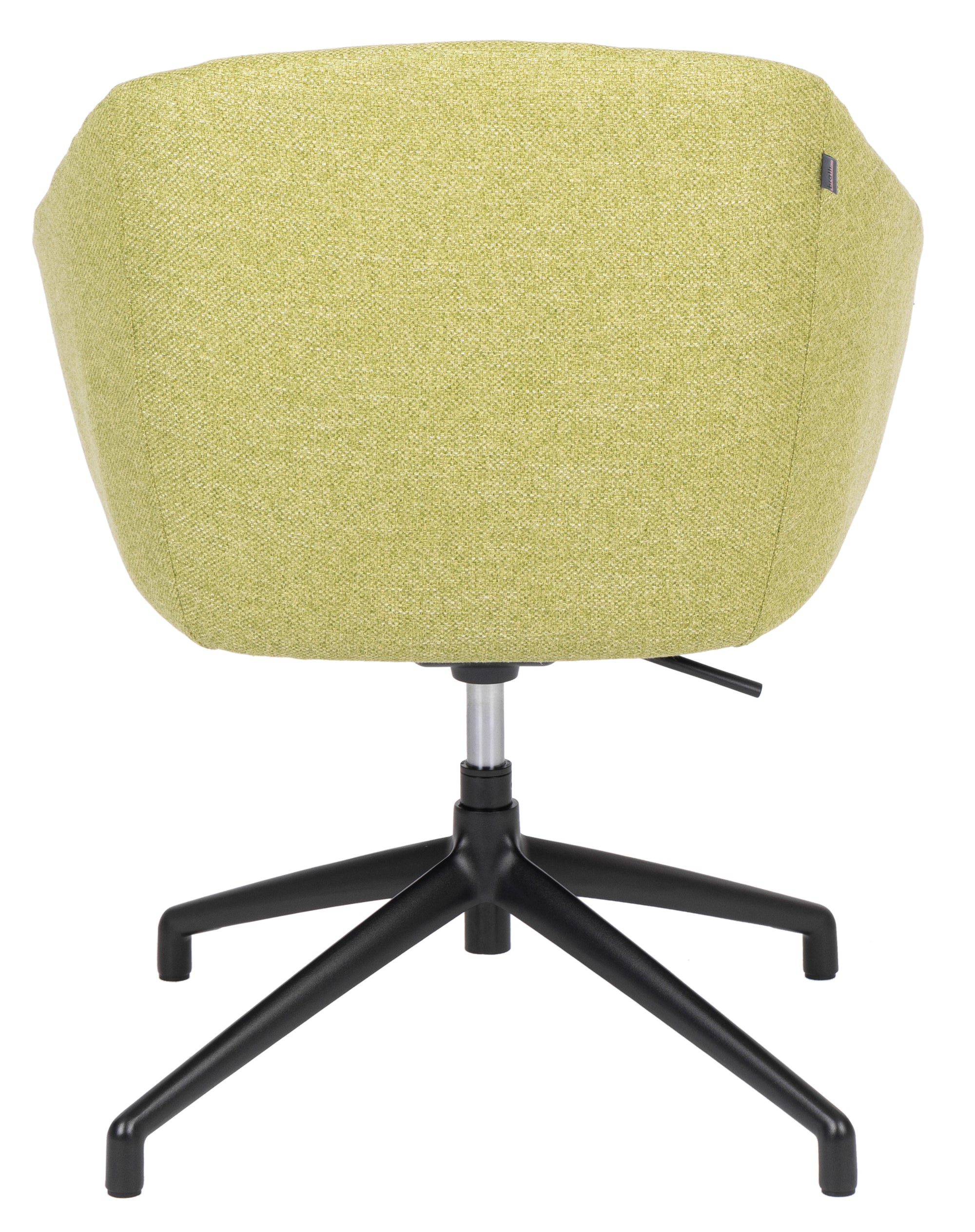 Silla Edge Spider